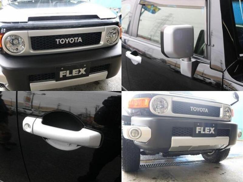 FJ CRUISER