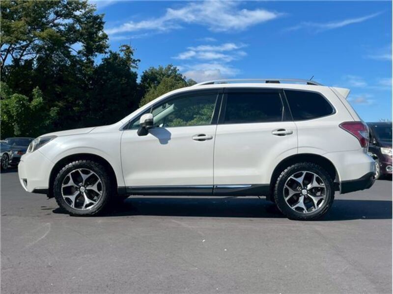 FORESTER