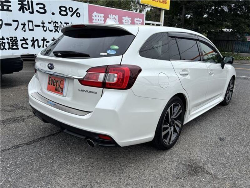 LEVORG