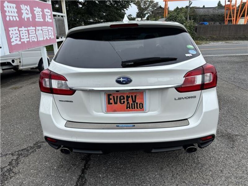 LEVORG