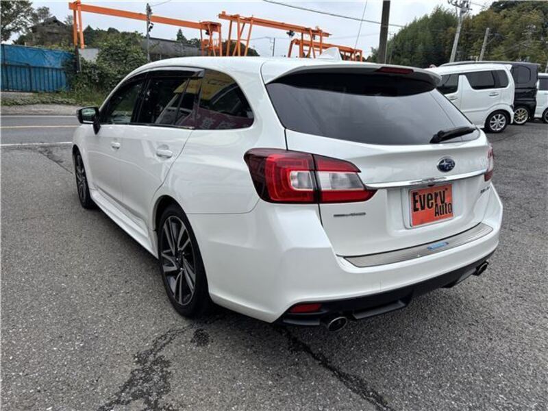 LEVORG