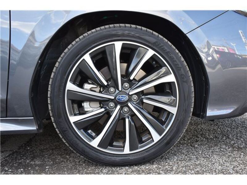 LEVORG