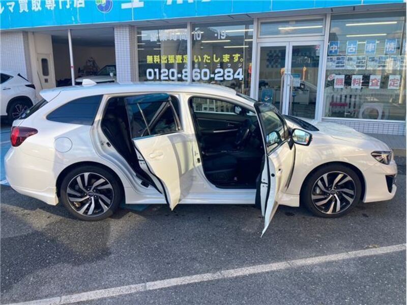LEVORG