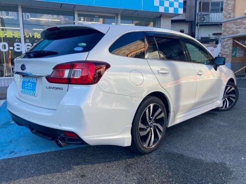 LEVORG