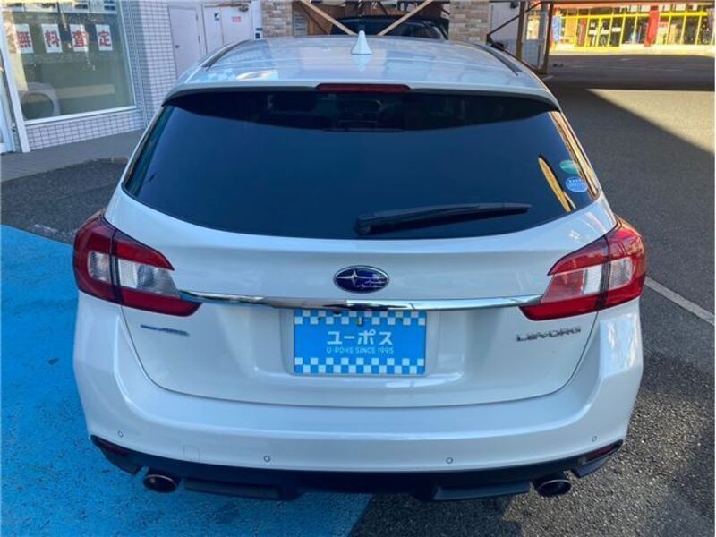 LEVORG