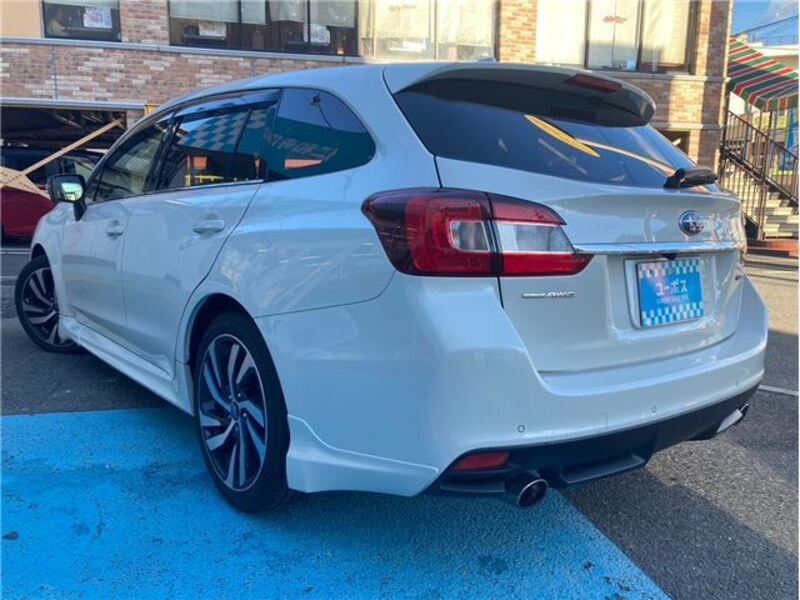 LEVORG