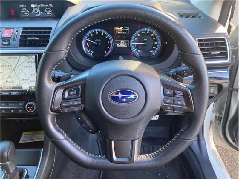 LEVORG