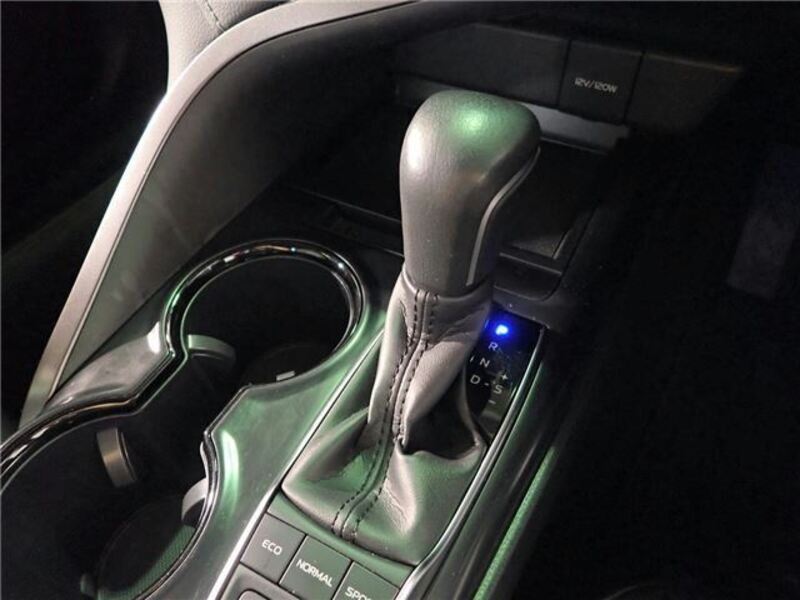 CAMRY