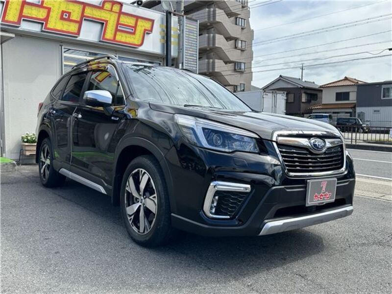 FORESTER