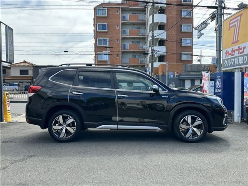 FORESTER