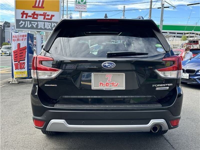 FORESTER
