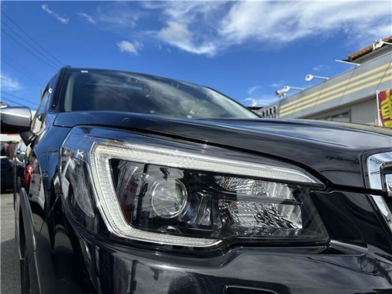 FORESTER