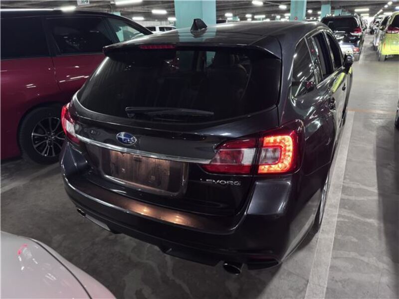 LEVORG