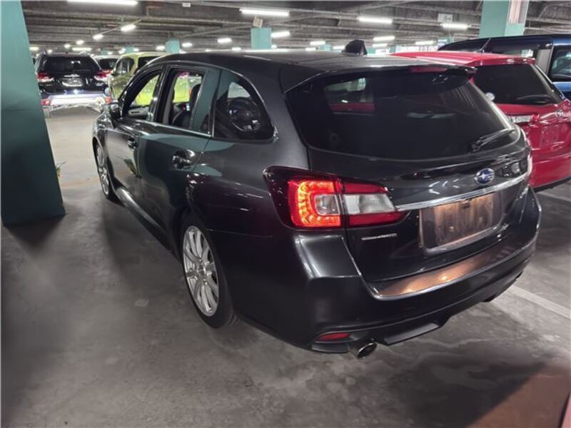 LEVORG