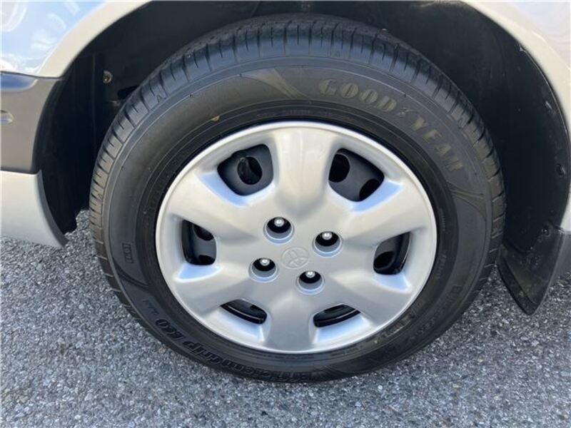 SPRINTER CARIB