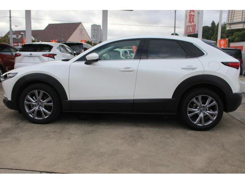 CX-30