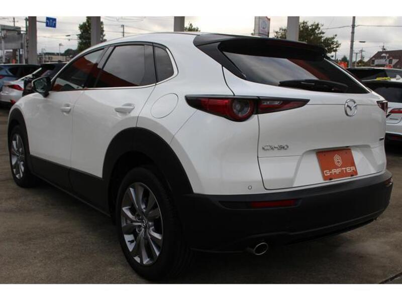 CX-30