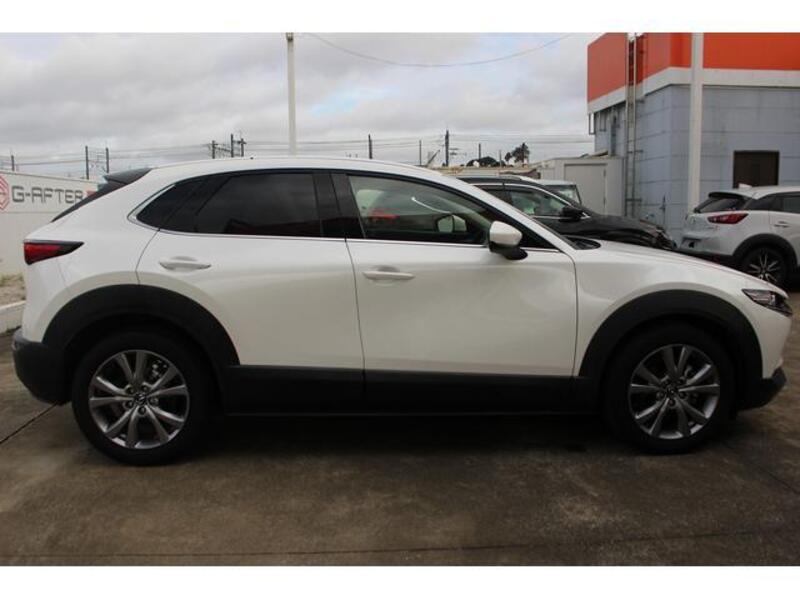 CX-30