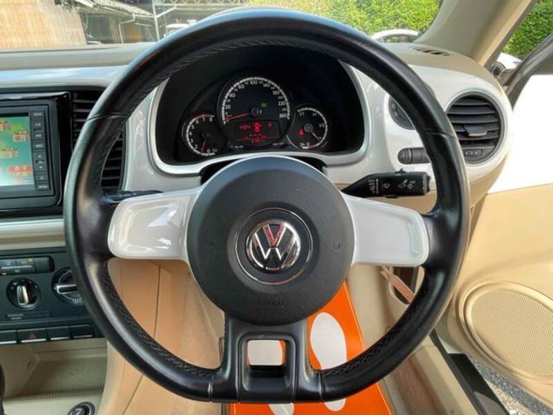 THE BEETLE