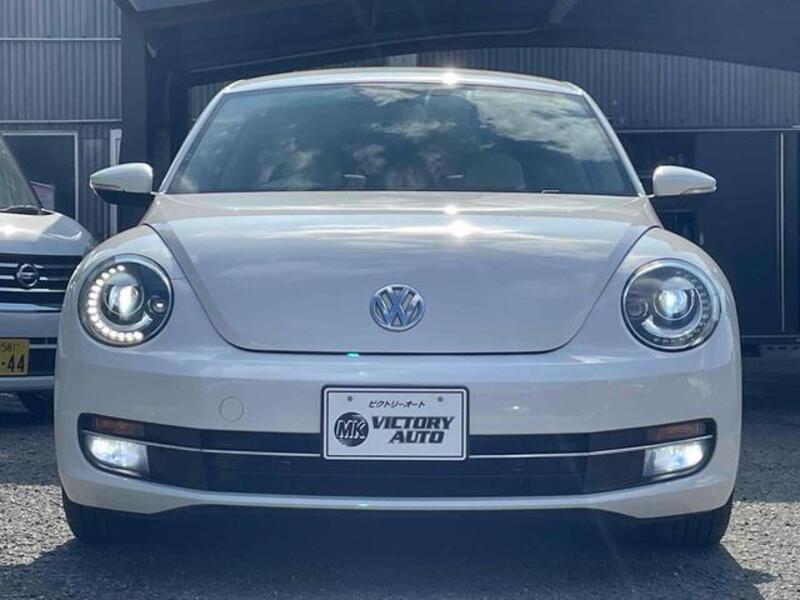 THE BEETLE