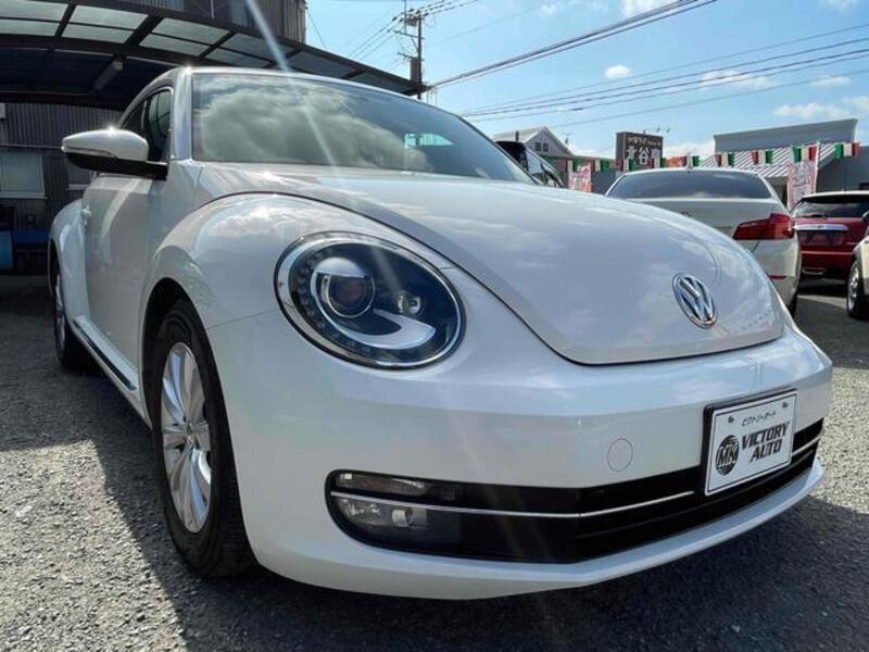 THE BEETLE
