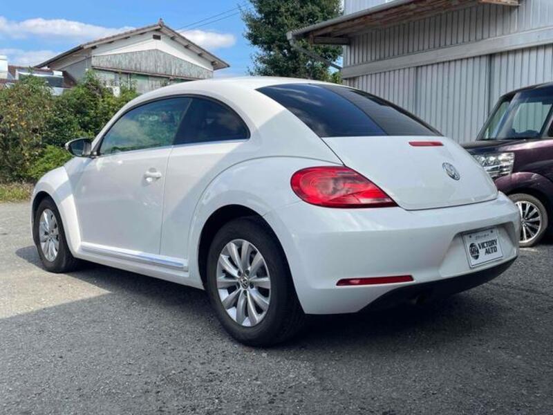 THE BEETLE