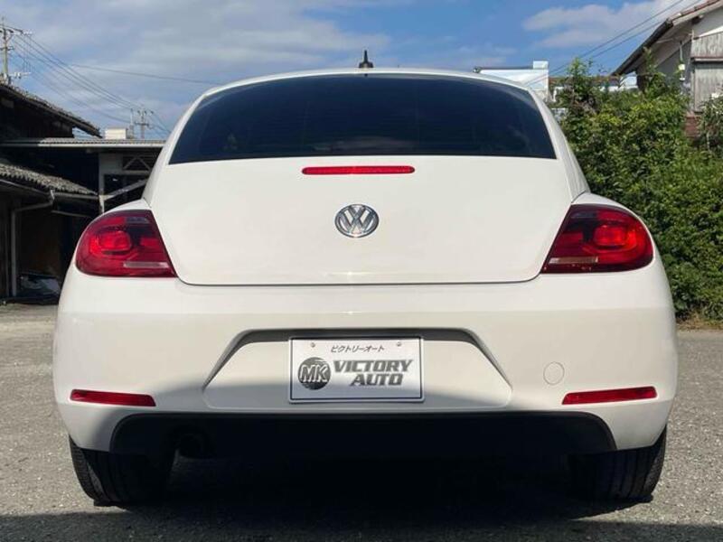THE BEETLE