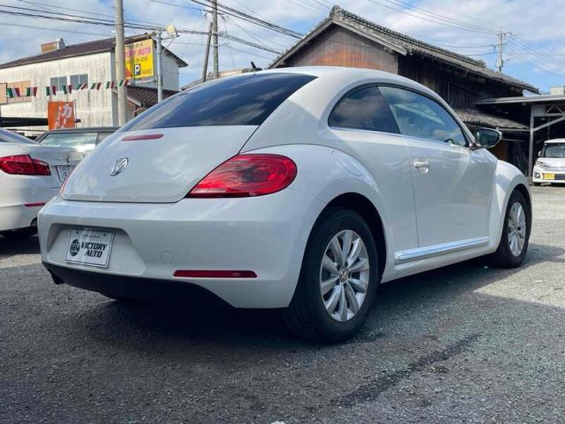 THE BEETLE