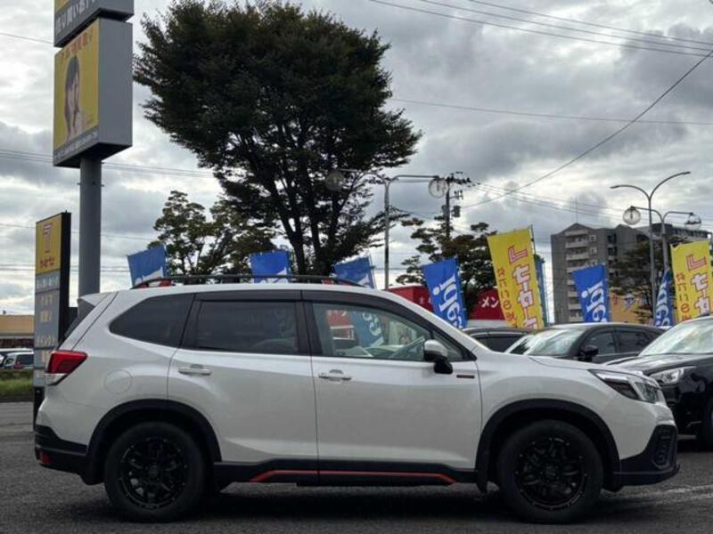 FORESTER