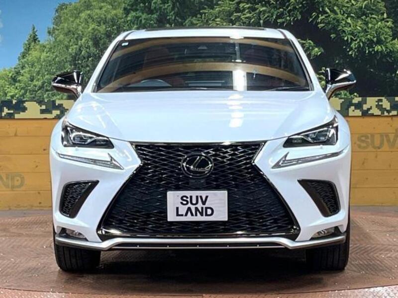 NX
