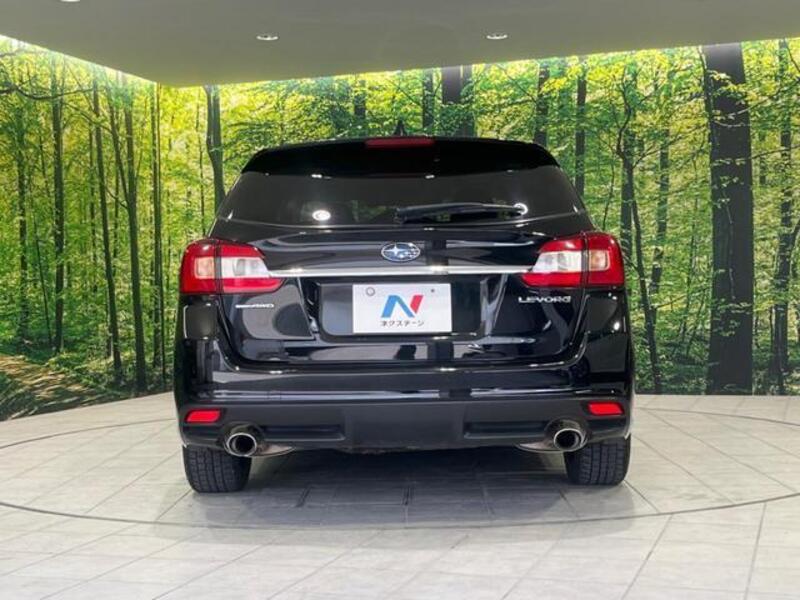 LEVORG