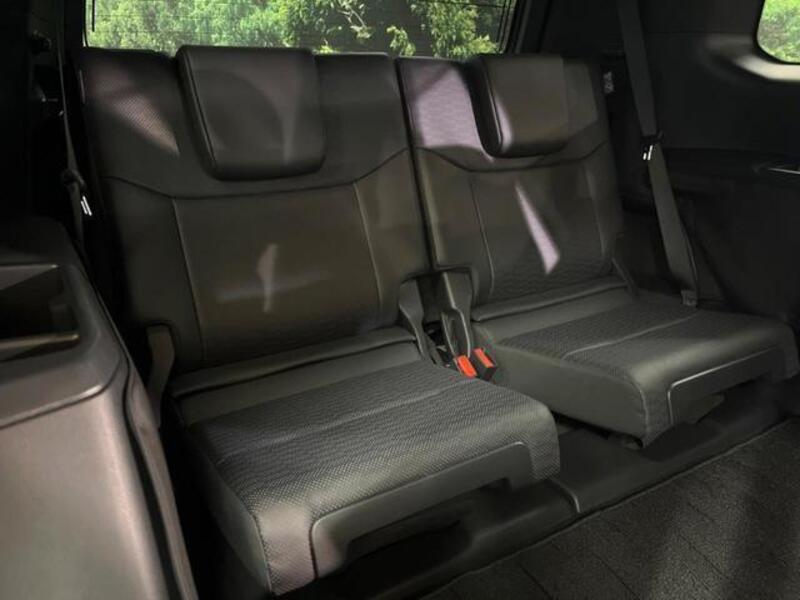 LAND CRUISER 250