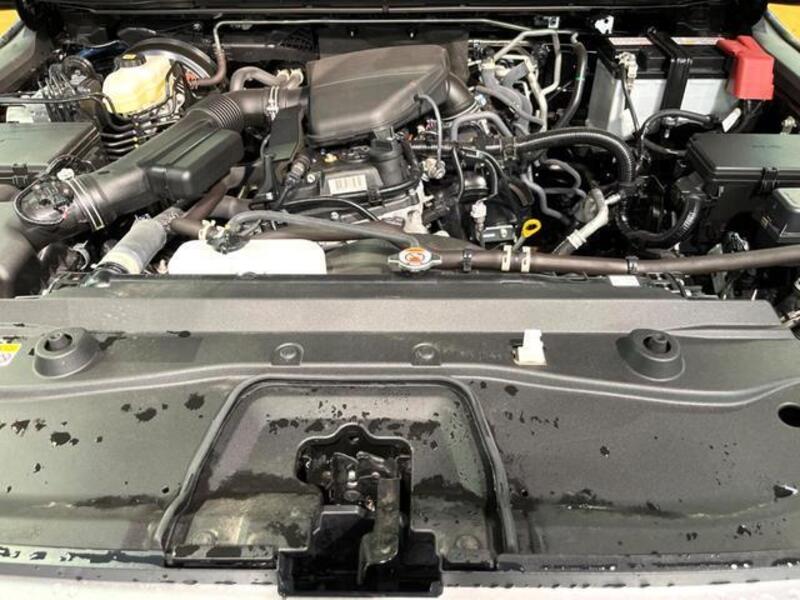 LAND CRUISER 250
