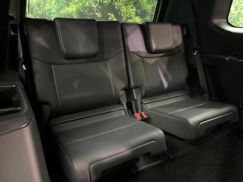 LAND CRUISER 250