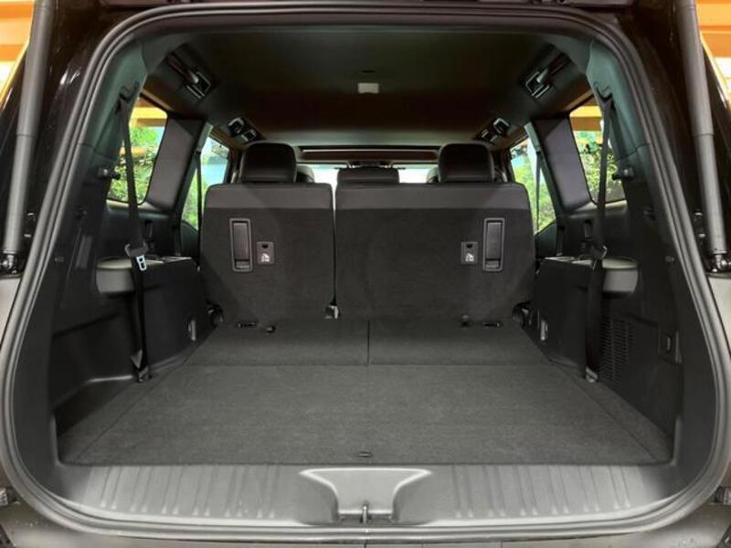 LAND CRUISER 250