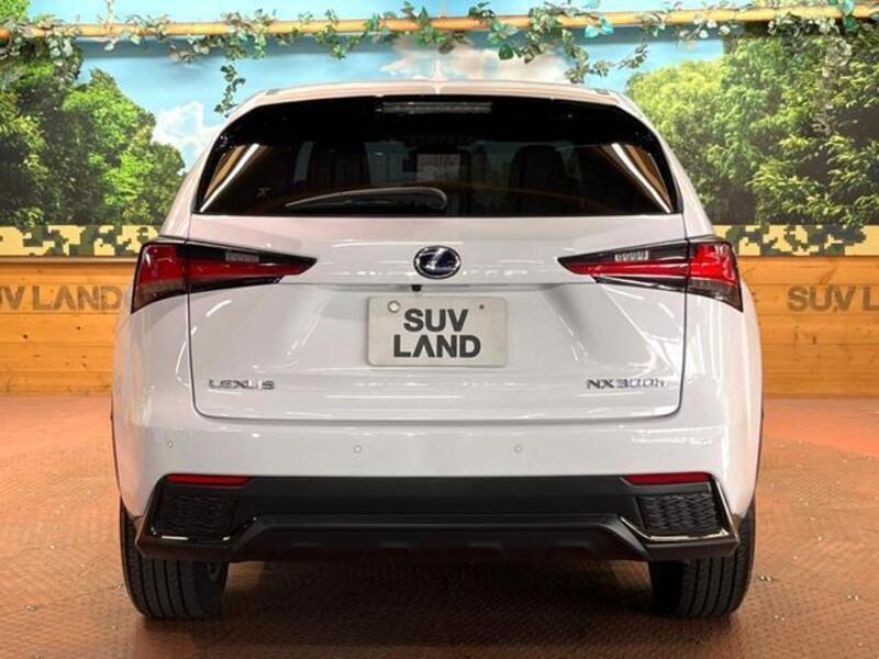 NX