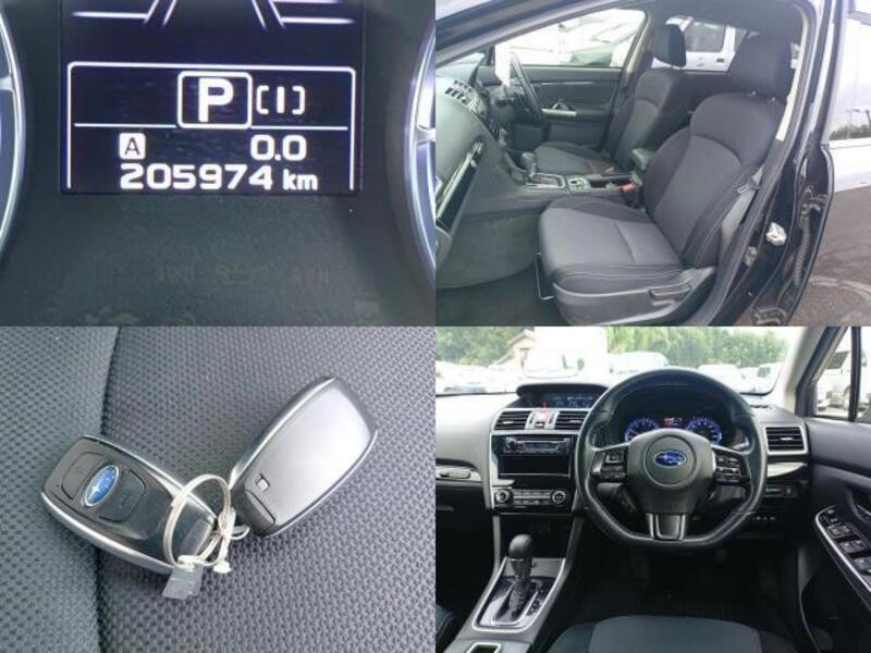 LEVORG