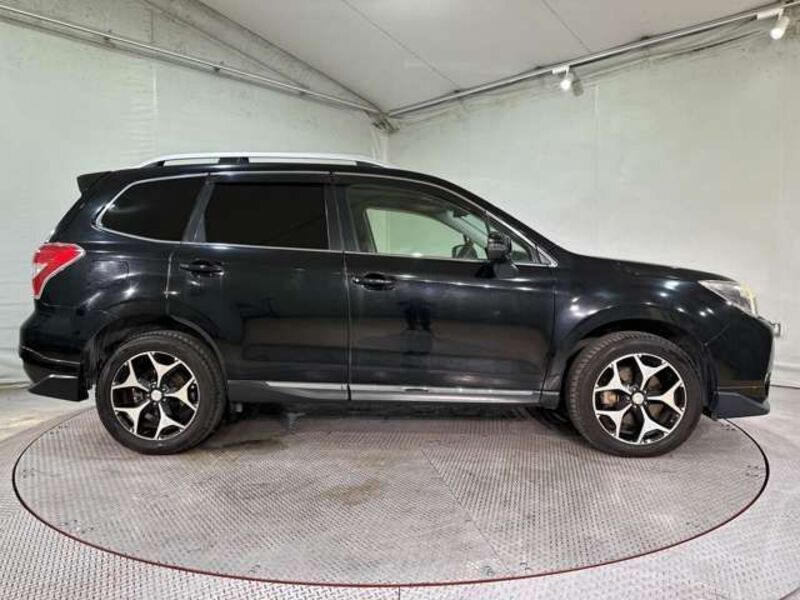 FORESTER