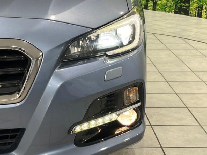 LEVORG