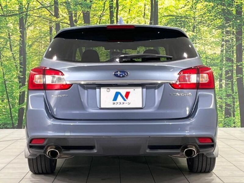 LEVORG