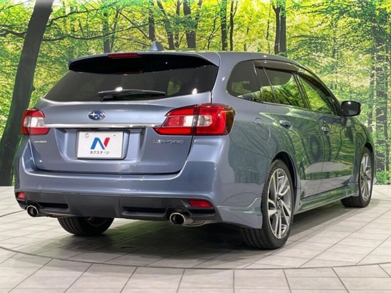 LEVORG