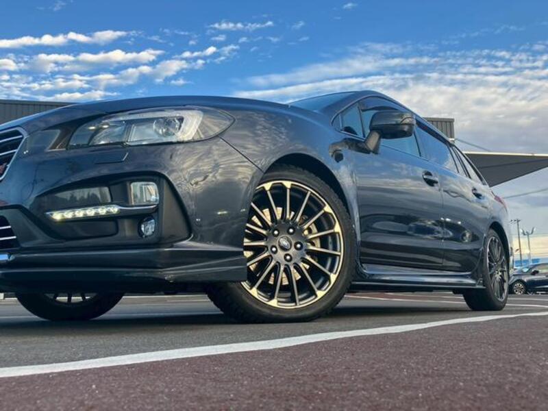 LEVORG