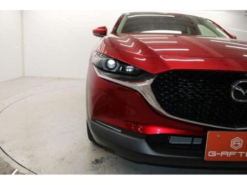 CX-30