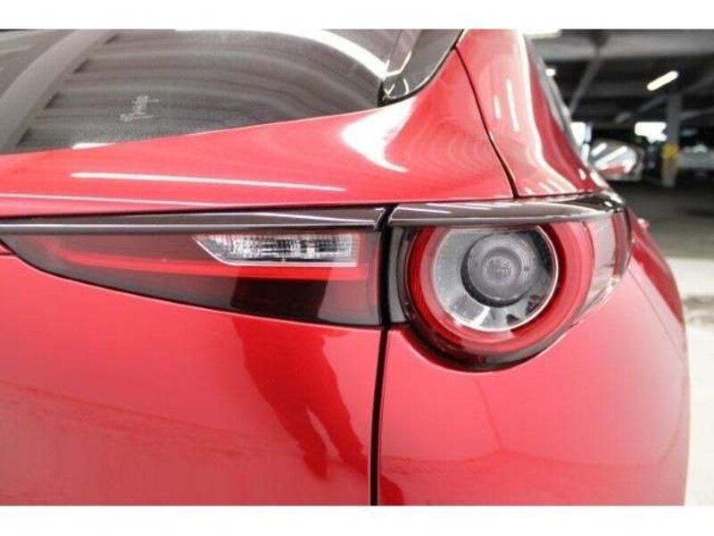 CX-30