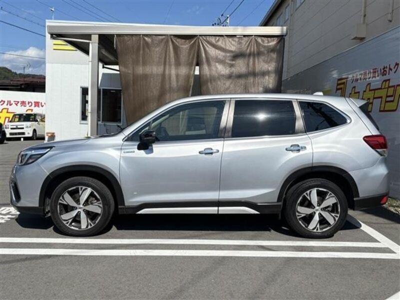 FORESTER
