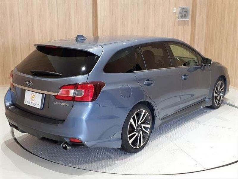 LEVORG