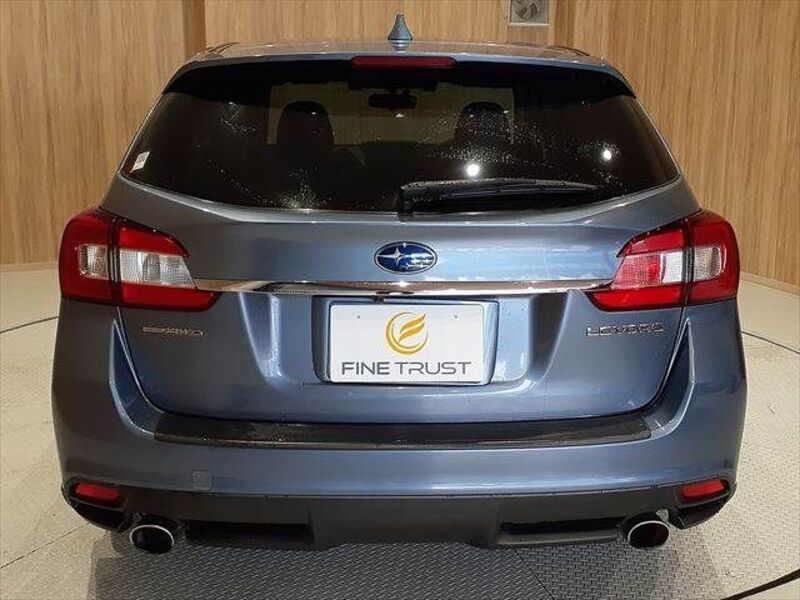 LEVORG