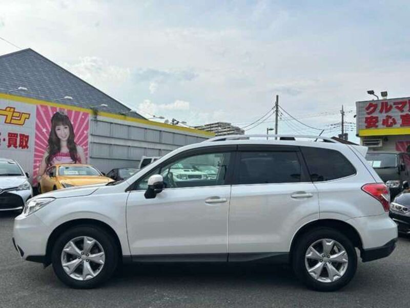 FORESTER