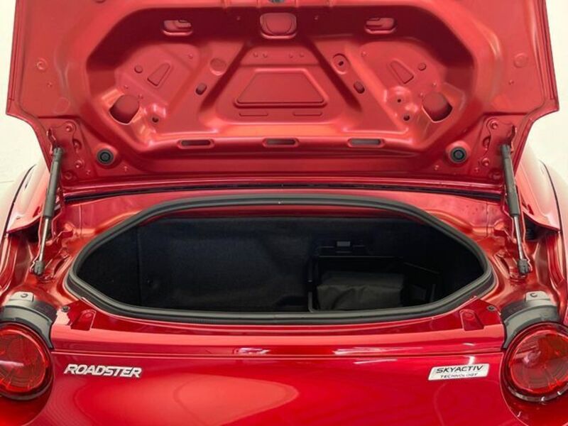 ROADSTER RF
