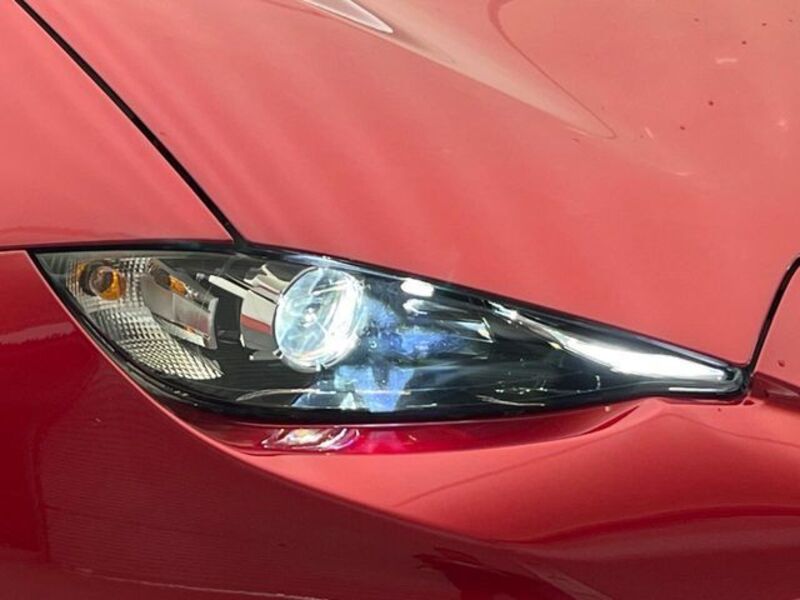 ROADSTER RF